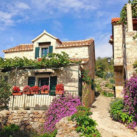 House Dobrila Villa Igrane Buitenkant foto
